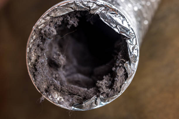 Best Air Duct Inspection  in Glasgow, VA